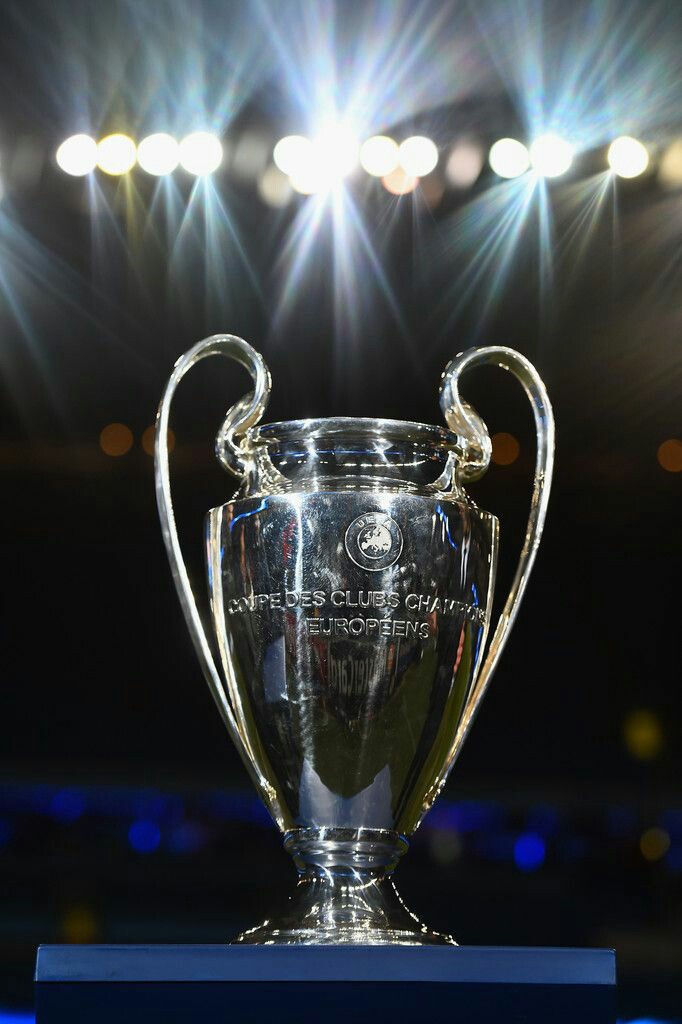 Eficiența inesteticului