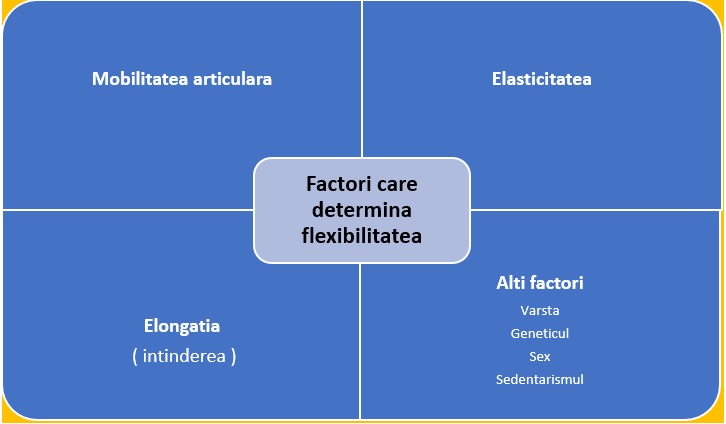 Poza - flexibilitatea