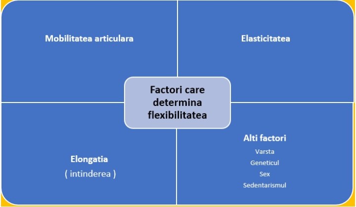 Poza - flexibilitatea